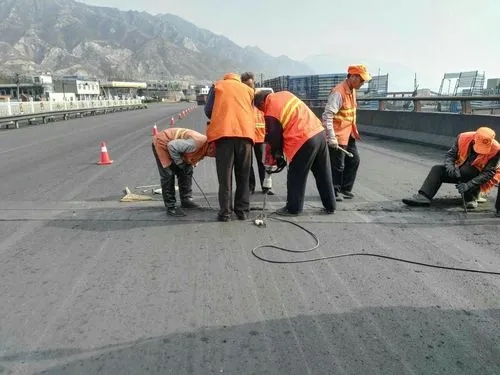 长海道路桥梁病害治理